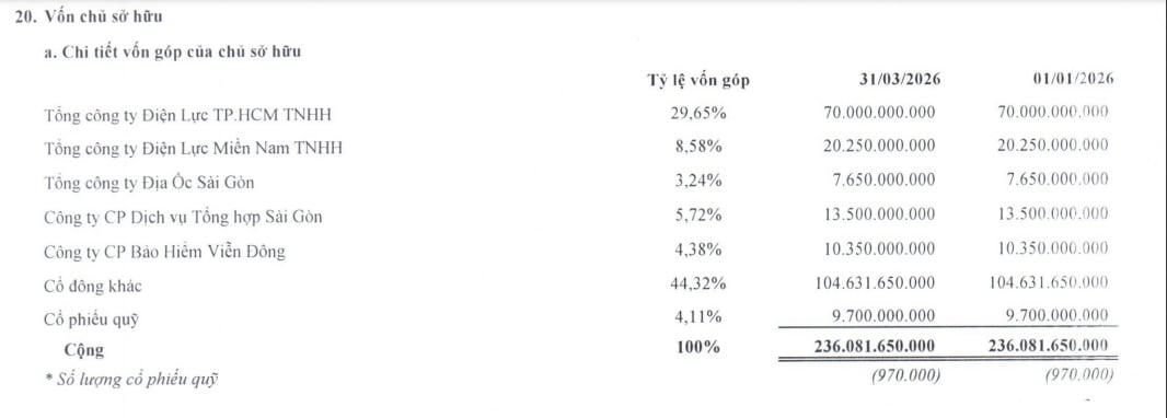 Chi tiết vốn g&oacute;p tại c&ocirc;ng ty.&nbsp;