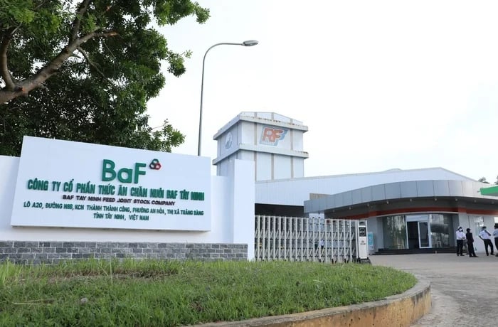 Cổ phiếu BAF giao dịch trầm lắng dù lợi nhuận dự kiến tăng mạnh - Ảnh 1