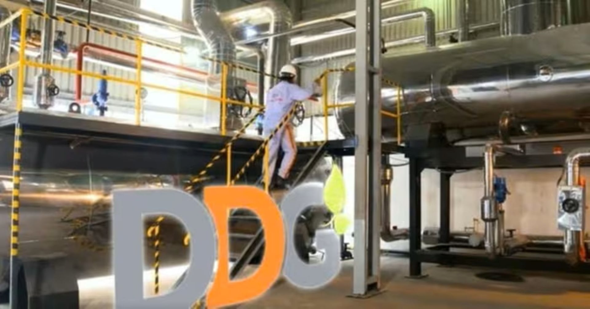 Cổ phiếu DDG của CTCP Đầu tư C&ocirc;ng nghiệp Xuất nhập khẩu Đ&ocirc;ng Dương đang đứng trước nguy cơ bị hủy ni&ecirc;m yết