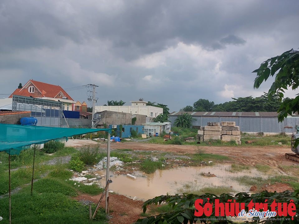 B&ecirc;n trong dự án&nbsp;Tecco Felice Homes, cỏ mọc um tùm, m&ocirc;̣t vài máy móc và v&acirc;̣t li&ecirc;̣u x&acirc;y dựng nằm ng&ocirc;̉n ngang.