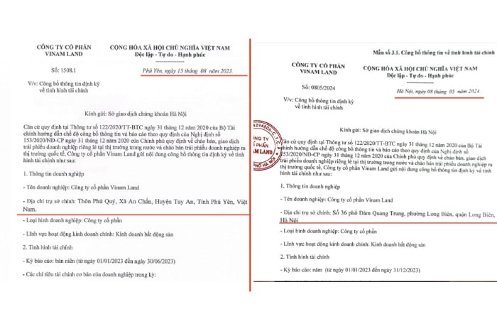 Vinam Land: Lỗ hơn 110 tỷ, g&#225;nh khoản nợ 1.600 tỷ đồng - Ảnh 1