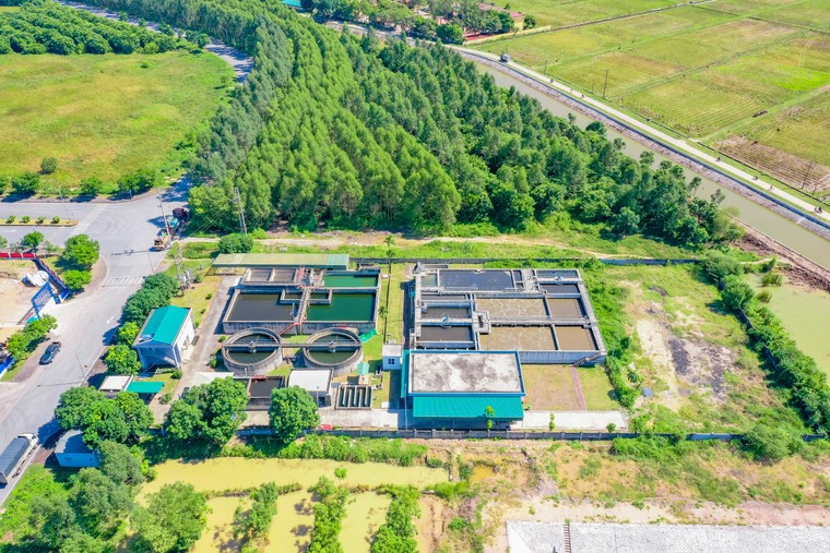 Tập đo&#224;n ROX Group tr&#242;n 29 tuổi - Ảnh 1