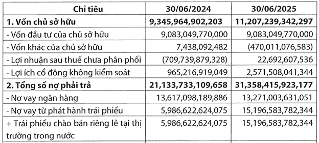 Hơn 2.100 tỷ đồng trái phiếu TNRE bị xếp hạng tín nhiệm không thuận lợi - Ảnh 2