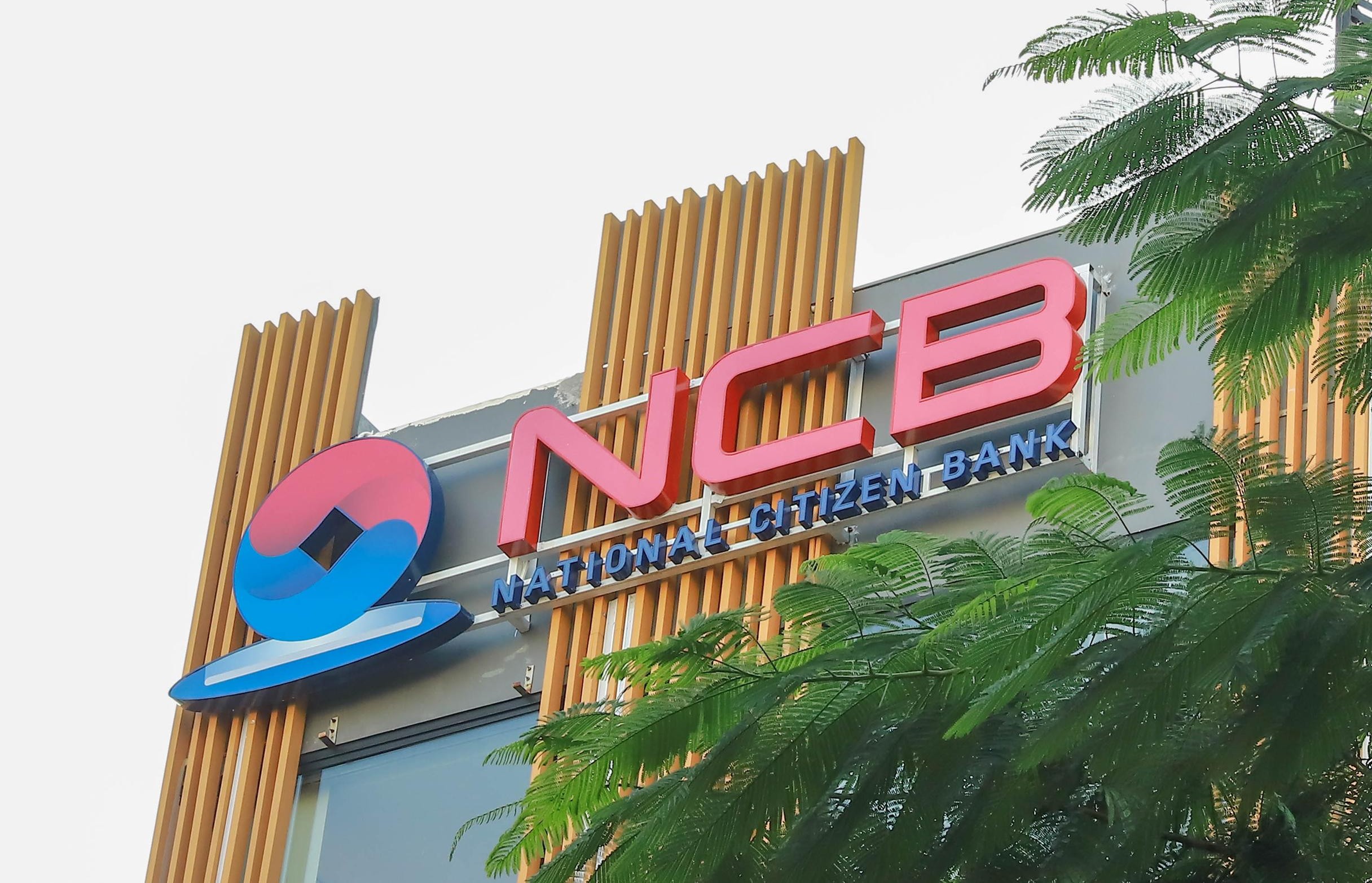 NCB công bố danh sách nhà đầu tư đăng ký mua cổ phiếu riêng lẻ, tăng vốn điều lệ lên 29.280 tỷ đồng - Ảnh 1
