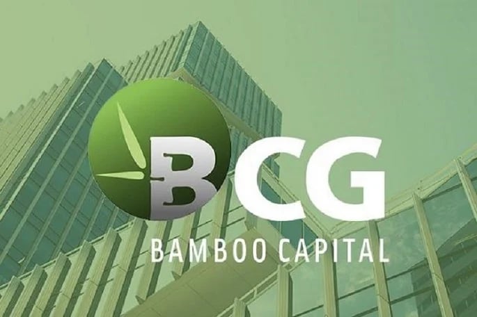 Bamboo Capital lên kế hoạch khôi phục giao dịch cổ phiếu - Ảnh 1