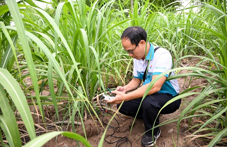 Phú Mỹ tăng cường hợp tác phát triển nông nghiệp tại Lào - Ảnh 1