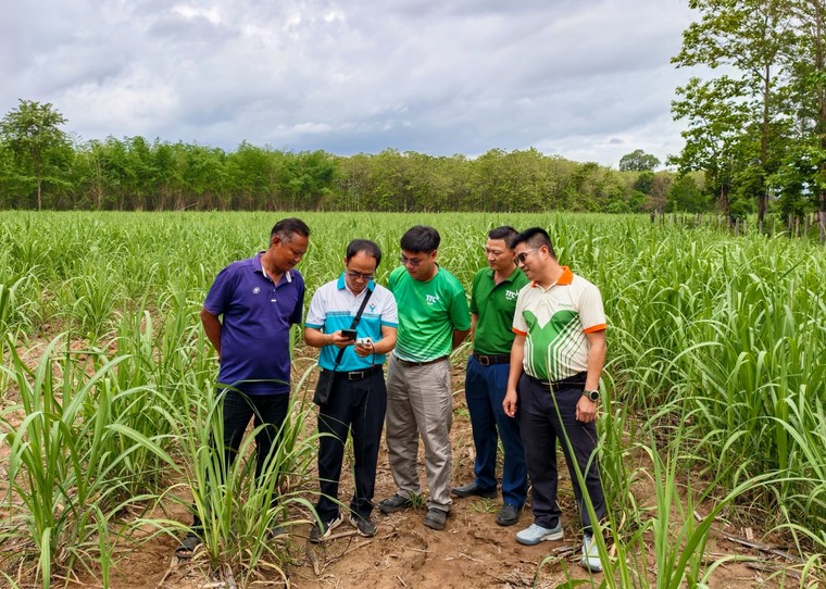 Phú Mỹ tăng cường hợp tác phát triển nông nghiệp tại Lào - Ảnh 4