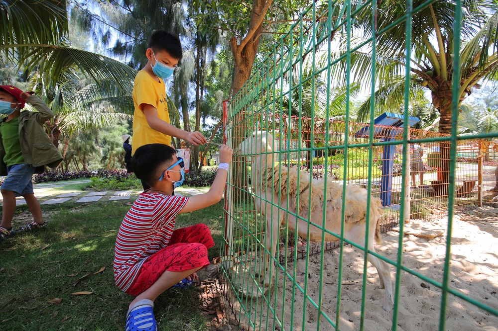 Học sinh nghỉ h&#232; sớm, đi đ&#226;u để cả gia đ&#236;nh &quot;xả hơi&quot; m&#224; vẫn an to&#224;n? - Ảnh 2
