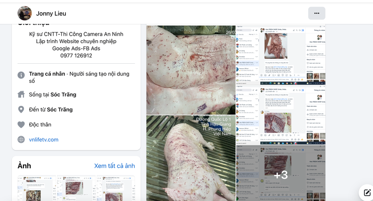 C&#244;ng ty CP Việt Nam bị tố b&#225;n heo bệnh, g&#224; bệnh - Ảnh 1