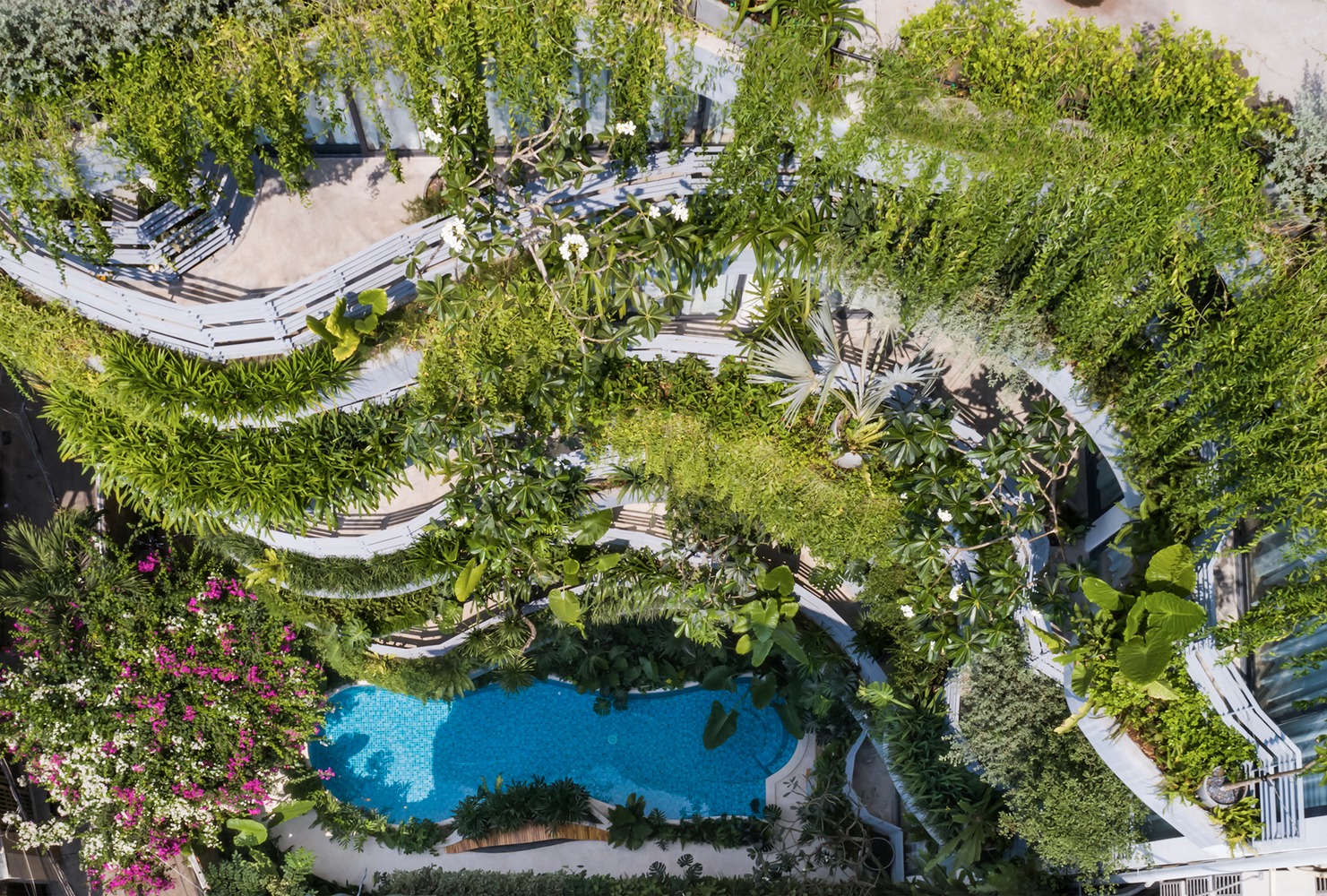 Lạc trong c&#225;c căn hộ giữa &#39;khu rừng nhiệt đới&#39; ở TP HCM - Ảnh 2