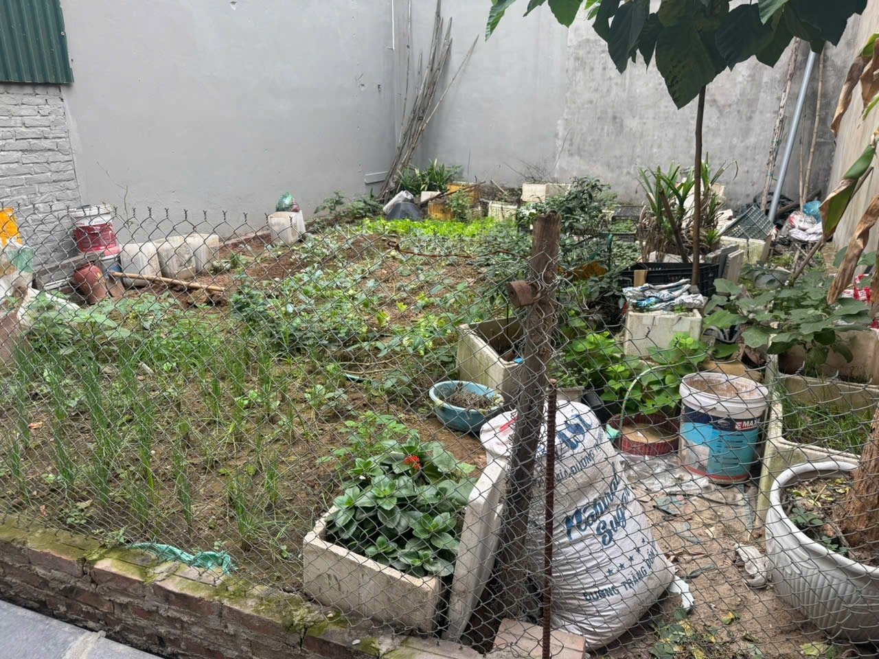 L&ocirc; đất hơn 90 triệu đồng/m2 vẫn chưa c&oacute; kh&aacute;ch mua.