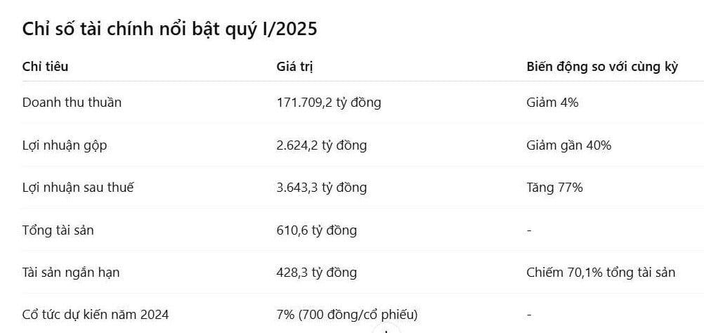 Chỉ số t&agrave;i ch&iacute;nh qu&yacute; I/2025 của&nbsp;C&ocirc;ng ty Cổ phần Bia S&agrave;i G&ograve;n - S&ocirc;ng Lam