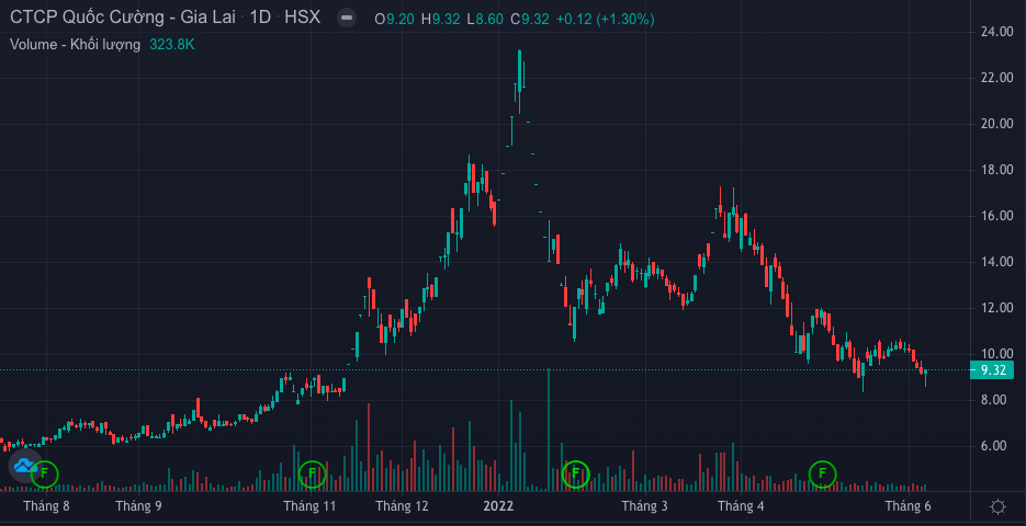 Cổ phiếu QCG giảm mạnh từ đầu năm. (Ảnh: FireAnt)