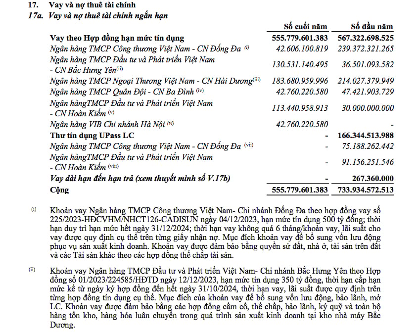 C&aacute;c khoản vay của CADI-SUN tại ng&acirc;n h&agrave;ng