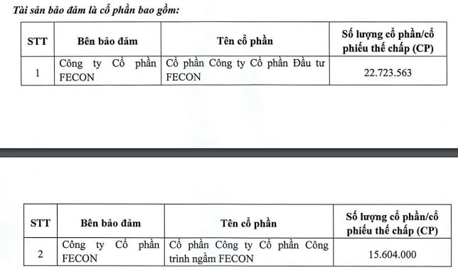 T&agrave;i sản đảm bảo cho l&ocirc; tr&aacute;i phiếu 150 tỷ đồng tại Fecon.