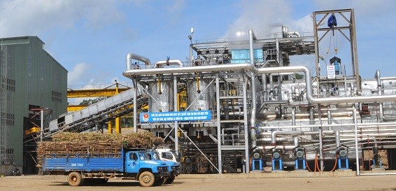 Nguy&ecirc;n liệu m&iacute;a đang được đưa v&agrave;o khu chế biến.