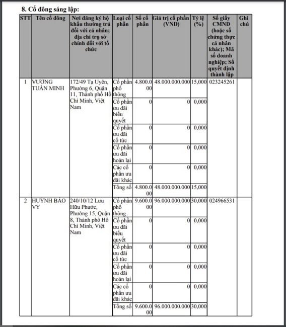 Vạn Trường Ph&#225;t vay hơn 10.000 tỷ đồng tr&#225;i phiếu trong 1 năm, cao gấp 3,3 lần vốn chủ sở hữu - Ảnh 1