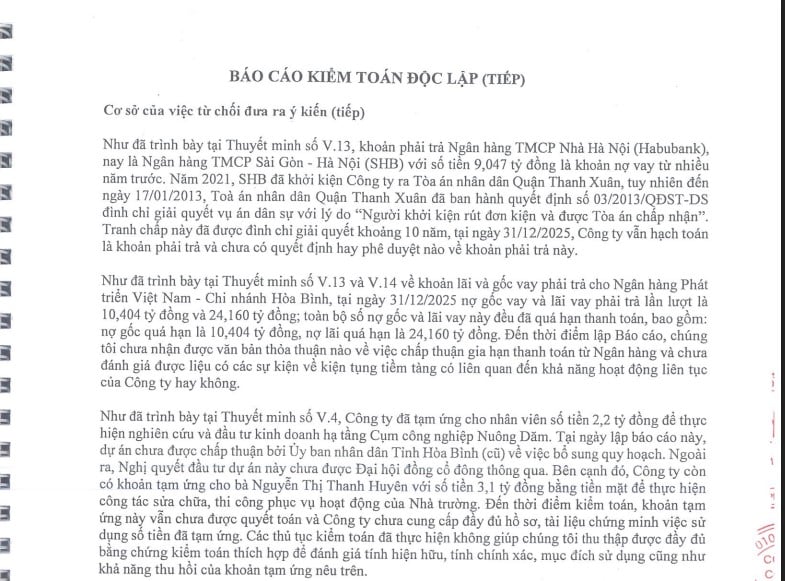 B&aacute;o c&aacute;o t&agrave;i ch&iacute;nh kiểm to&aacute;n 2025