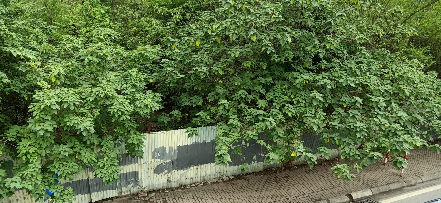 Loạt dự &#225;n BĐS bỏ hoang tại Tập đo&#224;n Bảo Việt sẽ ra sao khi Luật Kinh doanh bảo hiểm sắp c&#243; hiệu lực? - Ảnh 2