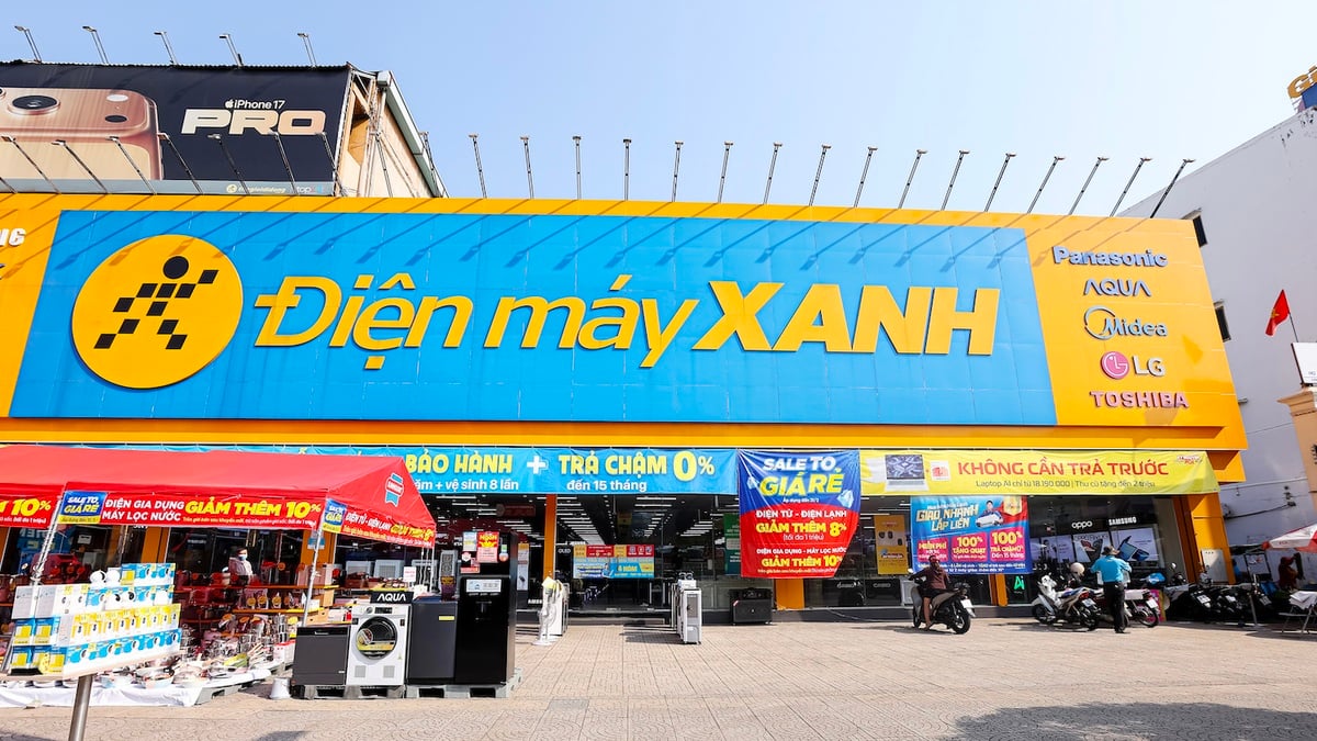 Điện Máy Xanh 'ế' gần 14 triệu cổ phiếu IPO, thị trường đứng trước phép thử dòng tiền - Ảnh 1