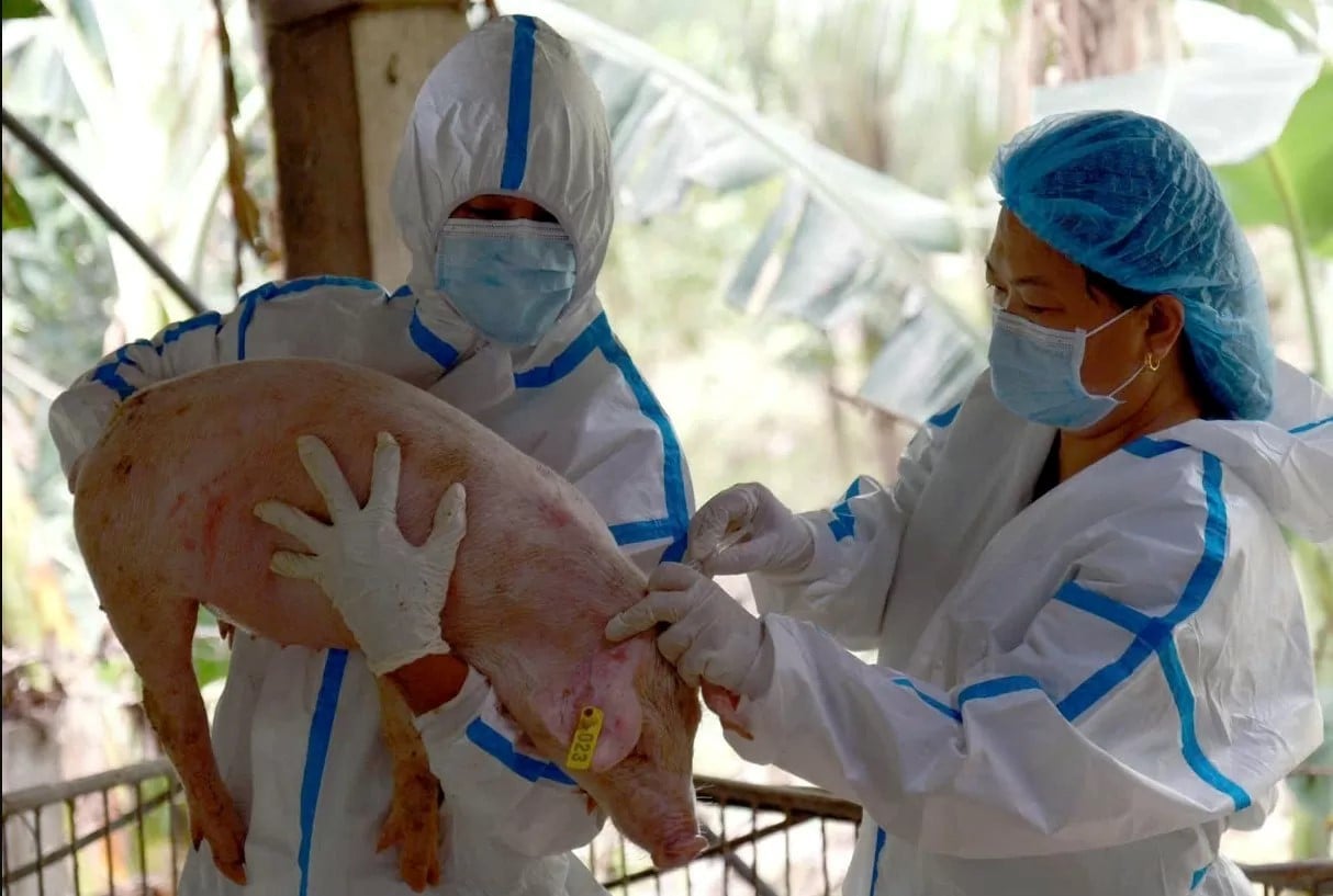 Tập đo&agrave;n Dabaco l&agrave; một trong những đơn vị ti&ecirc;n phong nghi&ecirc;n cứu v&agrave; sản xuất th&agrave;nh c&ocirc;ng vaccine thương mại dịch tả lợn ch&acirc;u Phi. Song song với đ&oacute;, Nh&agrave; m&aacute;y sản xuất vaccine của Dabaco cũng được đầu tư x&acirc;y dựng, ho&agrave;n th&agrave;nh v&agrave; cấp chứng chỉ FMP-WHO.