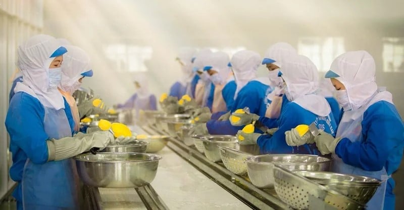 Tham vọng dẫn đầu chuỗi n&ocirc;ng nghiệp số h&oacute;a, lợi nhuận Nafoods vẫn chưa bứt ph&aacute;... (Ảnh minh hoạ)