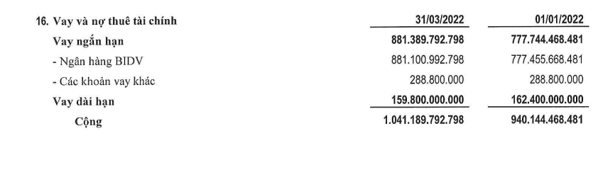 Chi tiết c&aacute;c khoản nợ vay tại Phục Hưng Holdings. (Nguồn: BCTC hợp nhất qu&yacute; 1/2022)