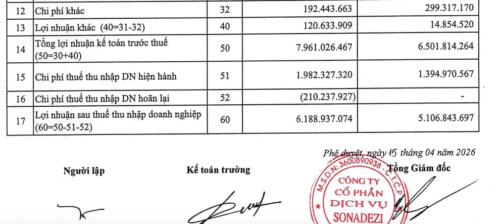 Kết quả hoạt động kinh doanh của&nbsp;C&ocirc;ng ty Sonadezi.&nbsp;