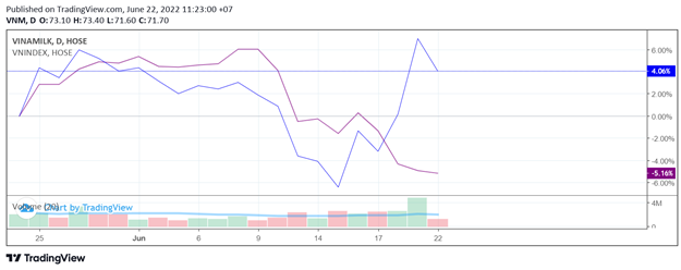 Gi&aacute; cổ phiếu VNM trong tương quan với VNIndex trong 1 th&aacute;ng. (VNM: Đường kẻ xanh, VN-Index: Đường kẻ t&iacute;m). Nguồn: TradingView &nbsp;