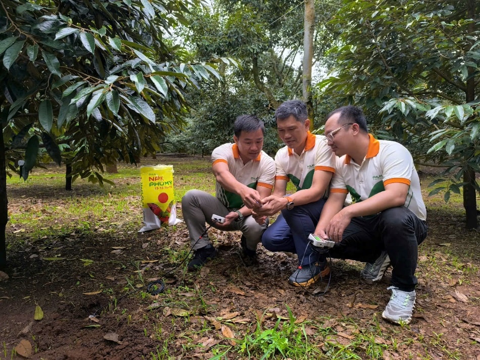 Ph&uacute; Mỹ triển khai đo dinh dưỡng đất th&ocirc;ng minh, ứng dụng c&ocirc;ng nghệ ti&ecirc;n tiến