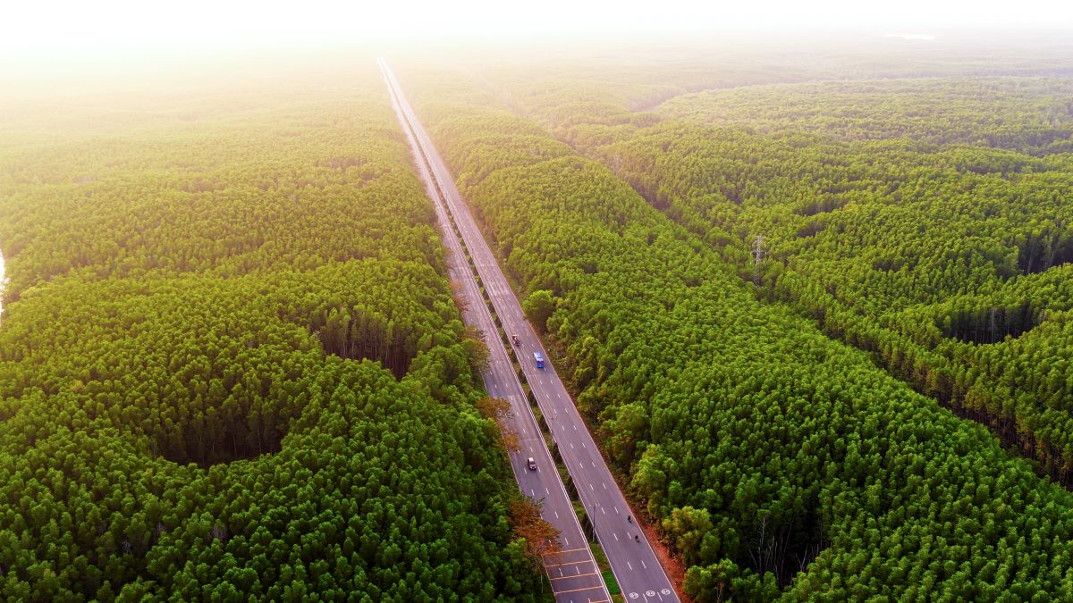 Khu dự trữ sinh quyển UNESCO rừng S&aacute;c - &ldquo;cửa ng&otilde; thi&ecirc;n nhi&ecirc;n&rdquo; tạo n&ecirc;n gi&aacute; trị kh&ocirc;ng thể sao ch&eacute;p cho Vinhomes Green Paradise