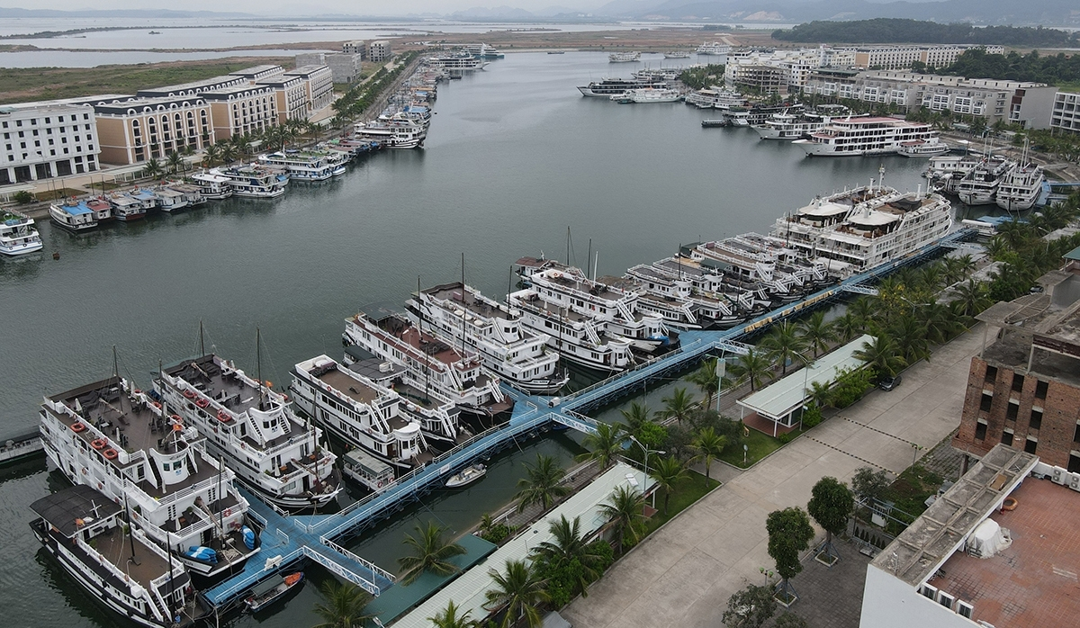 Hàng trăm tàu du lịch ở Hạ Long không thể hoạt động nhưng doanh nghiệp vẫn phải oằn mình trả nợ ngân hàng.