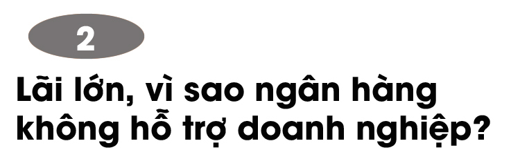 Doanh nghiệp thoi thóp chờ chết, ngân hàng vẫn lạnh lùng thu lãi cao - Ảnh 3