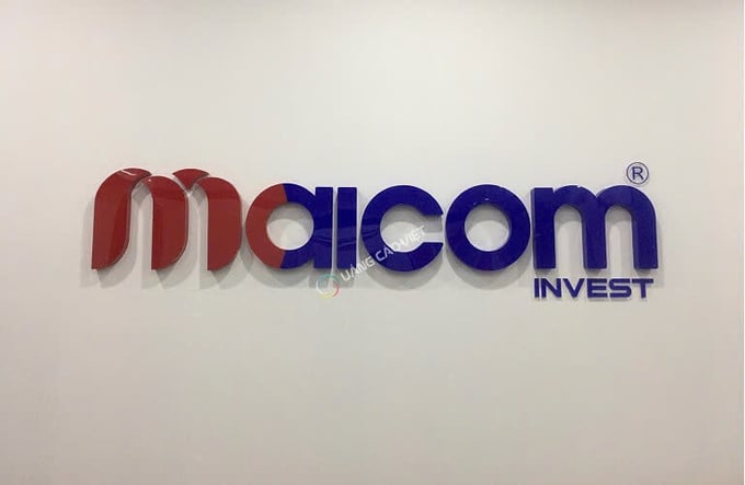 Chi cục Thuế khu vực XVI, Maicom Invest, cưỡng chế thuế - Ảnh 1