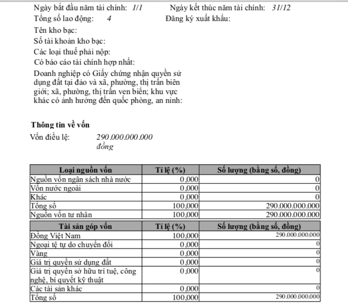 An Lạc Việt Land c&oacute; vốn điều lệ 290 tỷ đồng