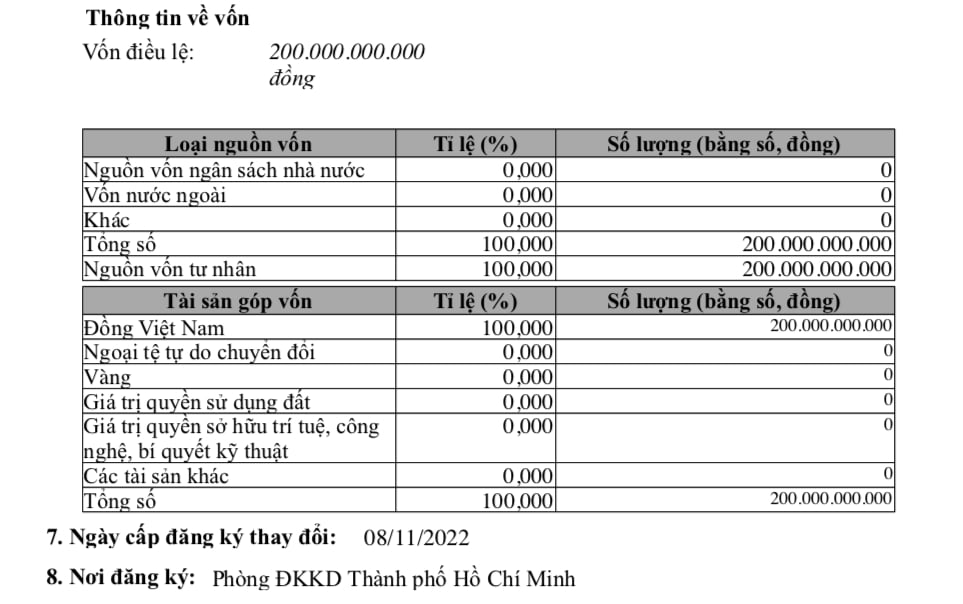 Vốn điều lệ tại&nbsp;C&ocirc;ng ty TNHH Địa ốc C&ocirc;ng vi&ecirc;n Xanh.