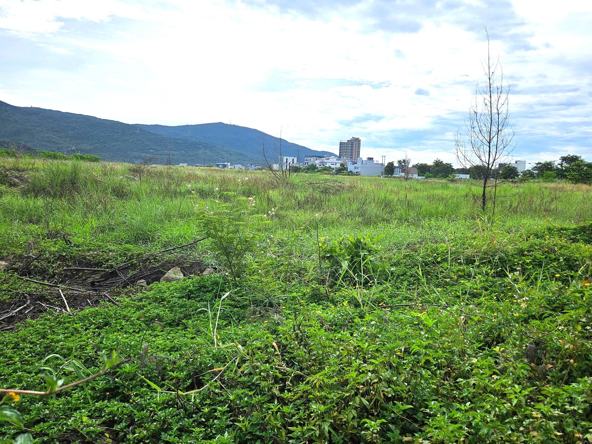 Khu đ&#244; thị lấn biển 11.500 tỷ đồng: Khởi c&#244;ng, huy động vốn rồi ‘nằm im’? - Ảnh 1