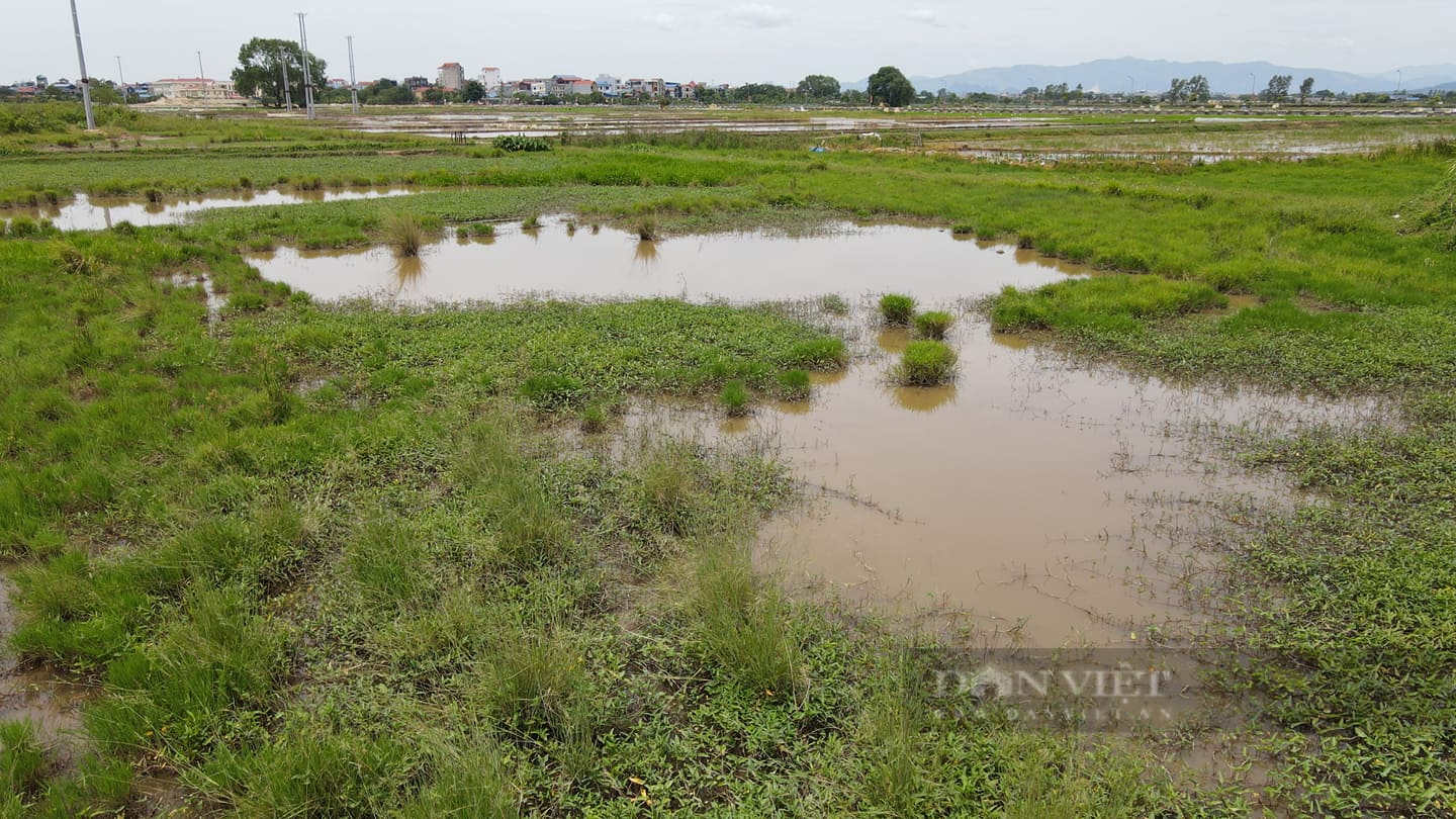 Trong khi đó, đa số diện tích đất trong quy hoạch dự án Hà Nội Westgate là bãi đất trống...