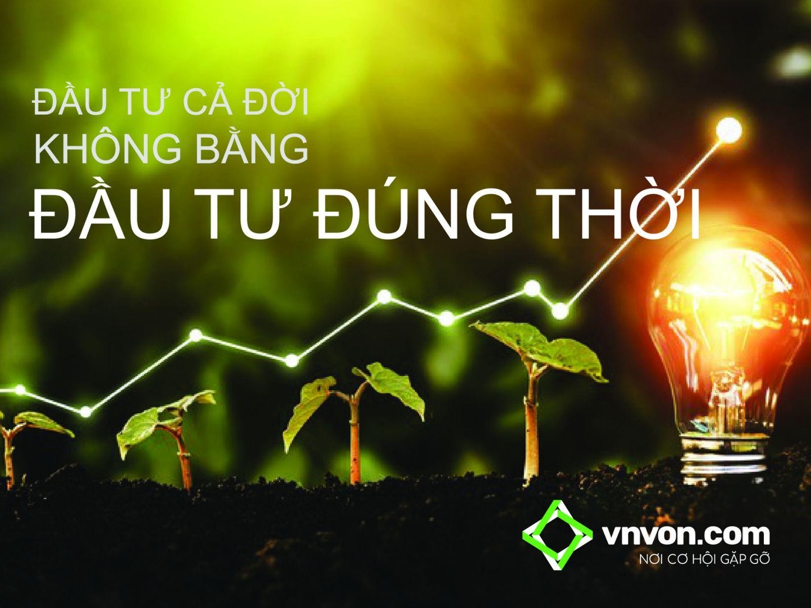 Vốn từ v&#224;i chục triệu đồng, đầu tư g&#236; trong m&#249;a dịch? - Ảnh 1