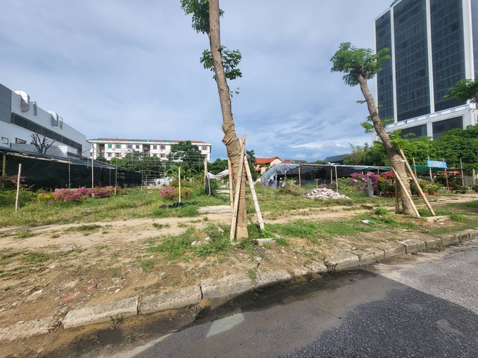 Khu đất "v&agrave;ng", đường 3/2, phường Hưng Dũng, TP Vinh đ&atilde; được chấp thuận chủ trương đầu tư cho C&ocirc;ng ty CP Tổng c&ocirc;ng ty Hợp t&aacute;c kinh tế Việt L&agrave;o (Nghệ An), sau nhiều năm vẫn l&agrave; b&atilde;i đất hoang.