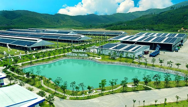 Đầu tư ESG: Thế giới đang s&#244;i sục, nh&#224; đầu tư Việt đ&#227; hiểu đến đ&#226;u? ESG – Xu hướng thế giới v&#224; sự “nhận diện” của nh&#224; đầu tư Việt? - Ảnh 6