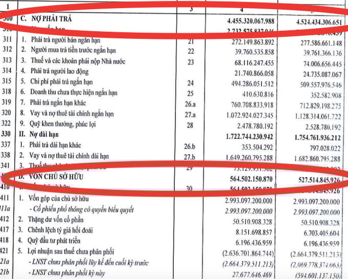 B&aacute;o c&aacute;o t&agrave;i ch&iacute;nh của Đức Long Gia Lai.