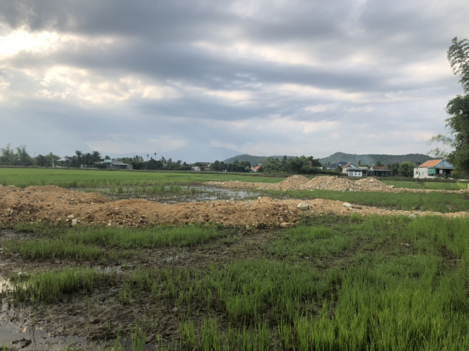 Nhiều l&ocirc; đất l&uacute;a được san lấp mặt bằng trước khi được c&aacute;c cơ quan chức năng chuyển mục đ&iacute;ch sử dụng.