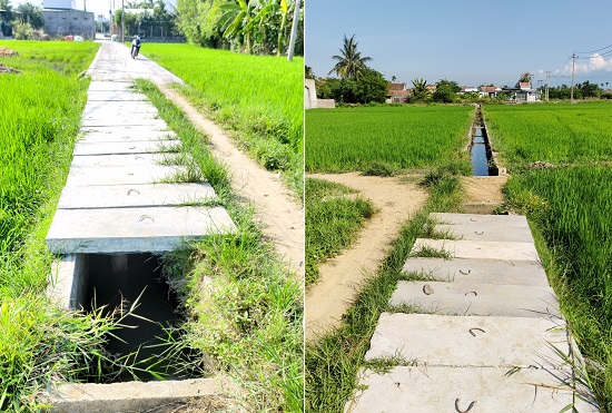 "Qu&aacute; tr&igrave;nh con đường được h&igrave;nh th&agrave;nh" để được c&aacute;c cơ quan chức năng thị x&atilde; Ninh Ho&agrave; xem x&eacute;t cho chuyển mục đ&iacute;ch đất trồng l&uacute;a nước sang đất ở.