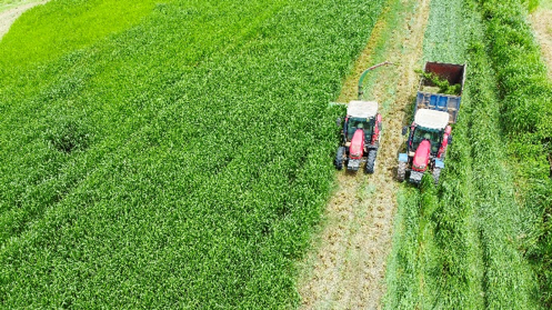 &quot;Mở kho&#225; tự nhi&#234;n&quot;: Vinamilk biến r&#224;o cản th&#224;nh v&#242;ng tuần ho&#224;n xanh tại trang trại sinh th&#225;i - Ảnh 11