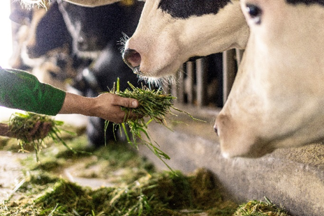 &quot;Mở kho&#225; tự nhi&#234;n&quot;: Vinamilk biến r&#224;o cản th&#224;nh v&#242;ng tuần ho&#224;n xanh tại trang trại sinh th&#225;i - Ảnh 8