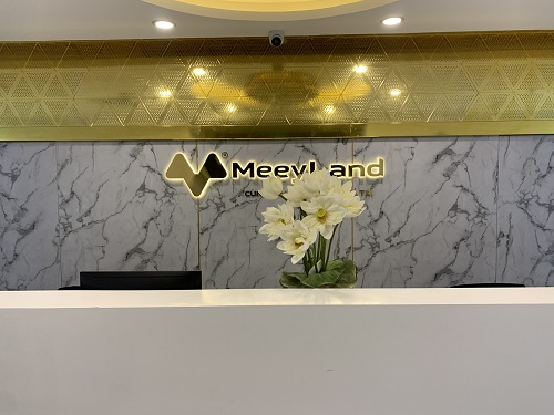 Meey Land: D&#242;ng tiền kinh doanh &#226;m nặng, hoạt động chủ yếu nhờ vốn vay - Ảnh 1