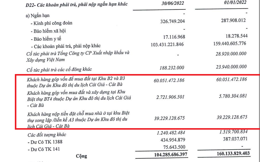 C&aacute;c kh&aacute;ch h&agrave;ng g&oacute;p vốn để mua đất dự &aacute;n C&aacute;t B&agrave; Amatina h&agrave;ng trăm tỷ đồng.