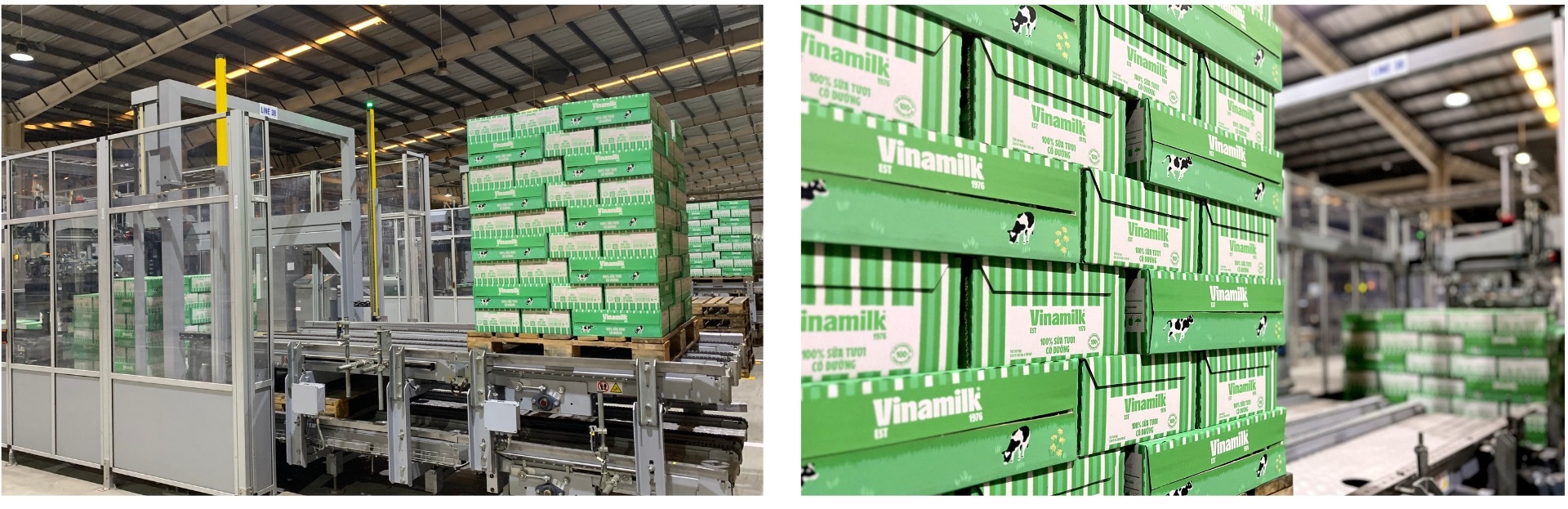 Sản phẩm sẽ được được QA v&agrave; lưu kho theo quy định, kịp đưa ra c&aacute;c k&ecirc;nh ph&acirc;n phối trong v&agrave;i tuần tới đ&acirc;y