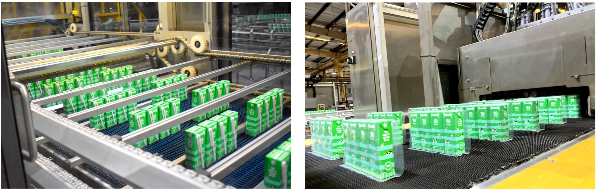 M&agrave;u sắc rực rỡ l&agrave; điều dễ nhận thấy khi h&agrave;ng trăm ng&agrave;n hộp sữa khi chạy đồng loạt tr&ecirc;n c&aacute;c d&acirc;y chuyền